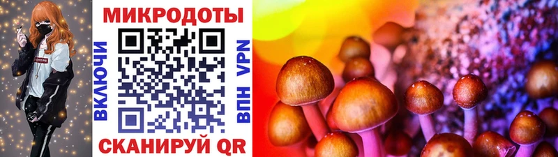 blacksprut рабочий сайт  Уяр  Псилоцибиновые грибы Psilocybine cubensis 